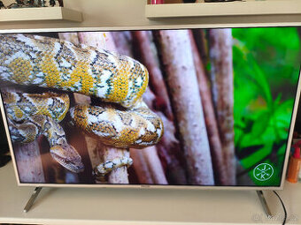 Panasonic TX-49FX613E