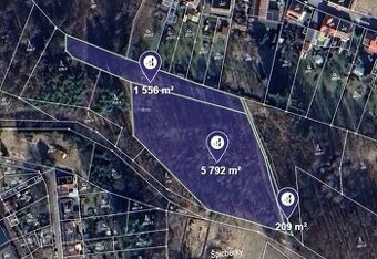Prodej podílu 1/2 lesa 3 779 m², Červený Kostelec