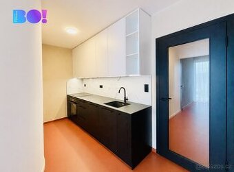 Pronájem bytu 2+kk 64 m², ul. F.X. Riepla, Ostrava