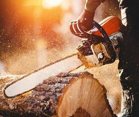 Kácení, příprava pal. dřeva