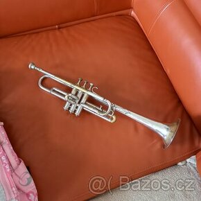 Trumpeta - nález na půdě
