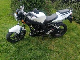 SHINERAY XY 125