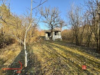 Prodej, domy/chata, 21 m2, Brněnské Ivanovice E136, 62000 Br