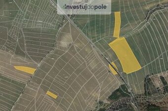 Prodej pole v k.ú. Brzotice a Dolní Kralovice