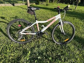 Dětské kolo Core Nipper 24 1x9