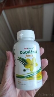 Kotvičník