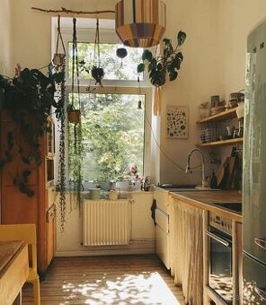 Hledame domov