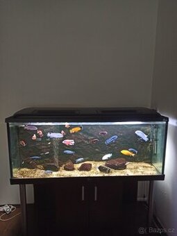 Akvárium Diversa 450 L Malawi