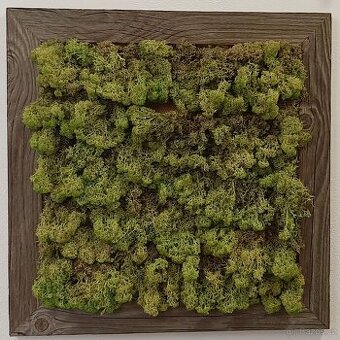 Mechový obraz 50 x 50 cm