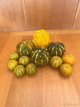 Okrasné dýně
