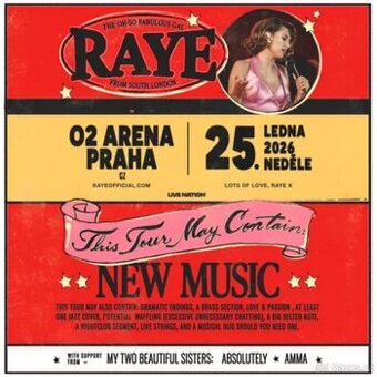 Raye - VIP klubové patro O2 arena