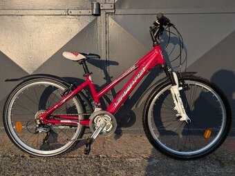 Dětské kolo Leader Fox Spider 24"