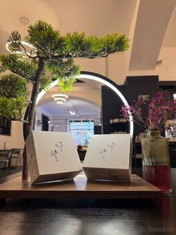 Apple AirPods Pro 2