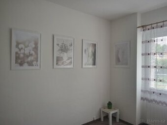 Prodám zarámované umělecké fotografie