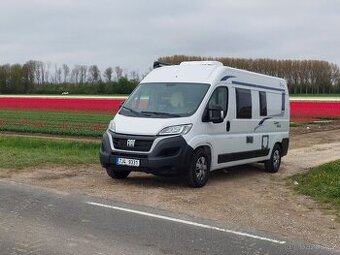 Obytná dodávka LASER 600 MAX, Fiat, Blucamp