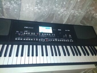 Korg pa 300