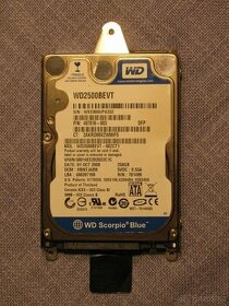 HDD pevný disk 250 GB WesternDigital 2,5" pro Notebook