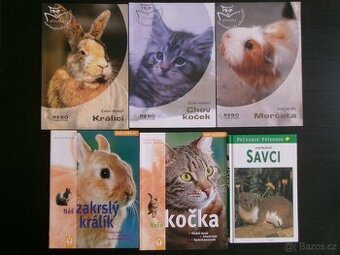 Chovatelství - králíci, kočky, morčata + savci.