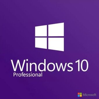 Windows 10/11 Pro licence