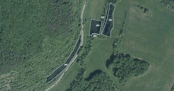 Les, prodej, Přečkovice, Bojkovice, Uherské Hradiště
