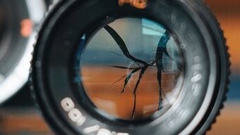 Koupím nefunkční, poškozené, plesnivé či nechtěné objektivy