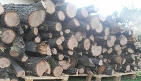 Palivové dřevo od 890 kč