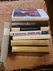 Knihy Sophiina volba, Trýzeň slávy, atd.