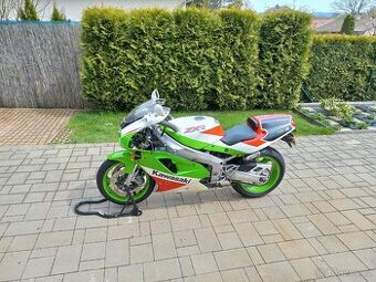 Kawasaki ZXR 750 R