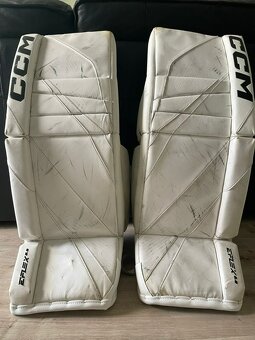 Prodám betony CCM EFlex 6.9 31+1