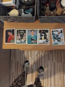 NHL KARTIČKY 95/96 - 1