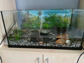 Terárium 60 l