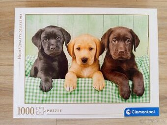 Puzzle - labradoři - 1000 pcs