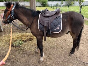 Barefoot sedlo pony