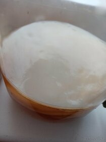 Kombucha, kombu-cha, čaj, zdravý nápoj,