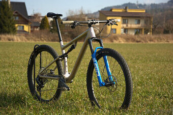 Specialized S-works epic custom