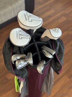 Prodám dámský golfový bag s holemi Wilson – jako nové