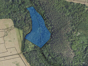 Prodej lesního pozemku 12312 m2 v obci Slabce, okres Rakovní - 1