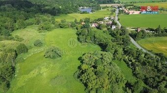 Prodej pastviny, 13461 m², Spálené Poříčí