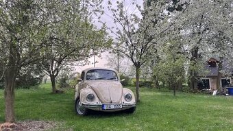 prodám VW brouk rok 1973, 1200ccm, 44ps