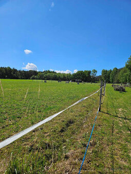 Pastevní ustájení České Budějovice