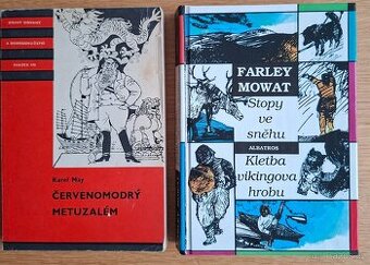 STOPY VE SNĚHU KLETBA VIKINGOVA HROBU EDICE KOD