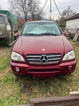 Mercedes Benz ML 400 CDi  W163