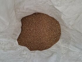 Pytlovaná pšenice - 1