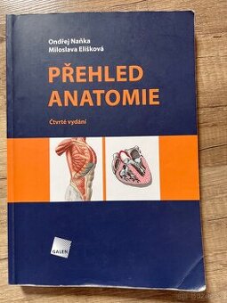 Přehled anatomie