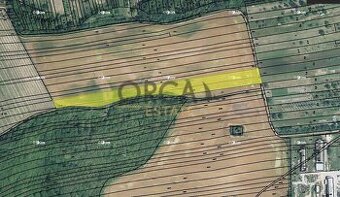 0,6 ha pozemků v k.ú. Syrovín