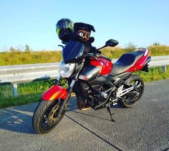 Suzuki GSR 600