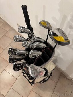 Titleist AP2, Cleveland, NIKE, PING, Calaway set