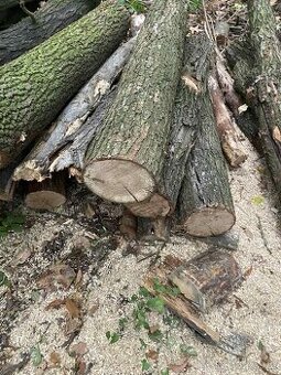 Kvalitní dřevo na topení – od 900 Kč