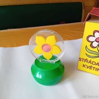 střádanka květina