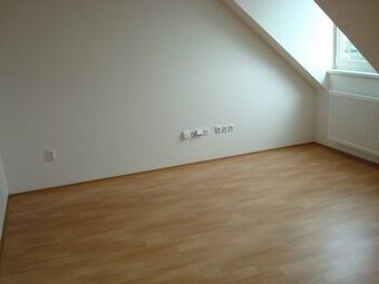 Pronájem bytu 1+kk, 27 m² – Brno-Husovice, ul. Dačického